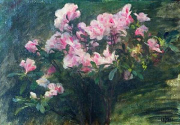 Charles-Amable Lenoir Study of Azaleas